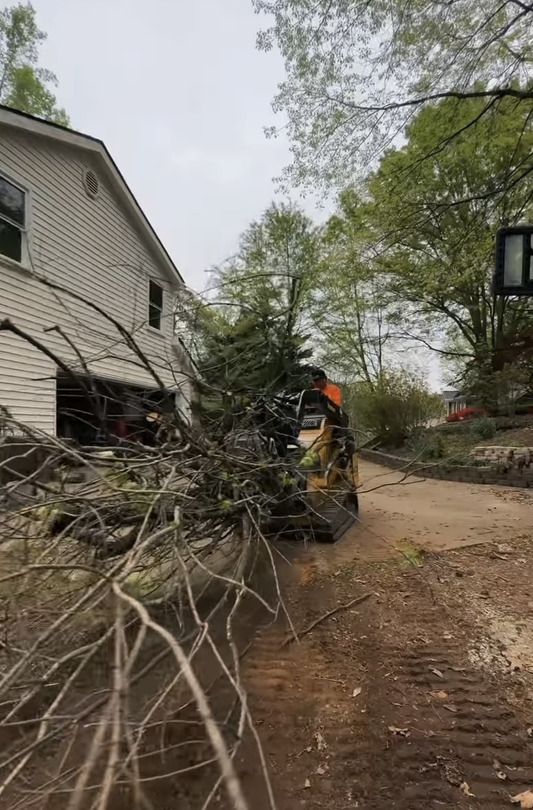 Emergency tree removal after storm damage in Blaine