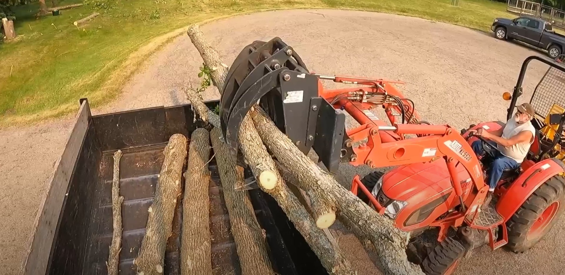 Complete cleanup and wood processing services Efficient wood processing and cleanup after tree removal