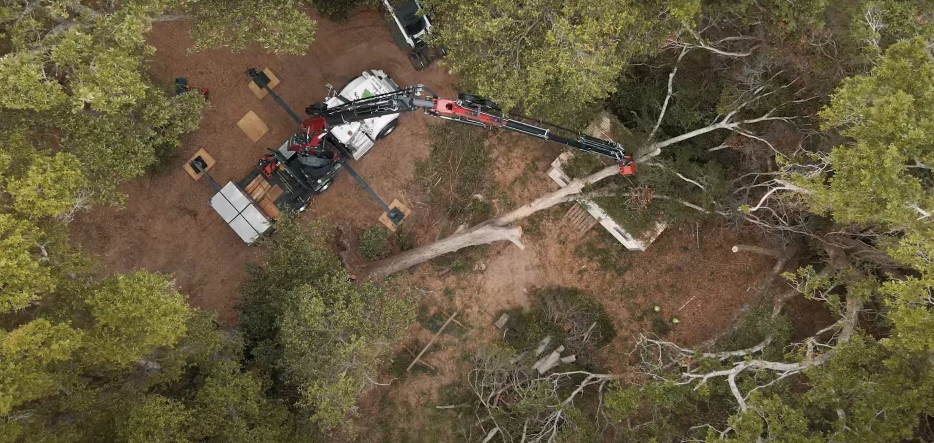 Professional stump grinding equipment clearing land for new landscaping Heavy machinery performing stump grinding and land clearing in Blaine