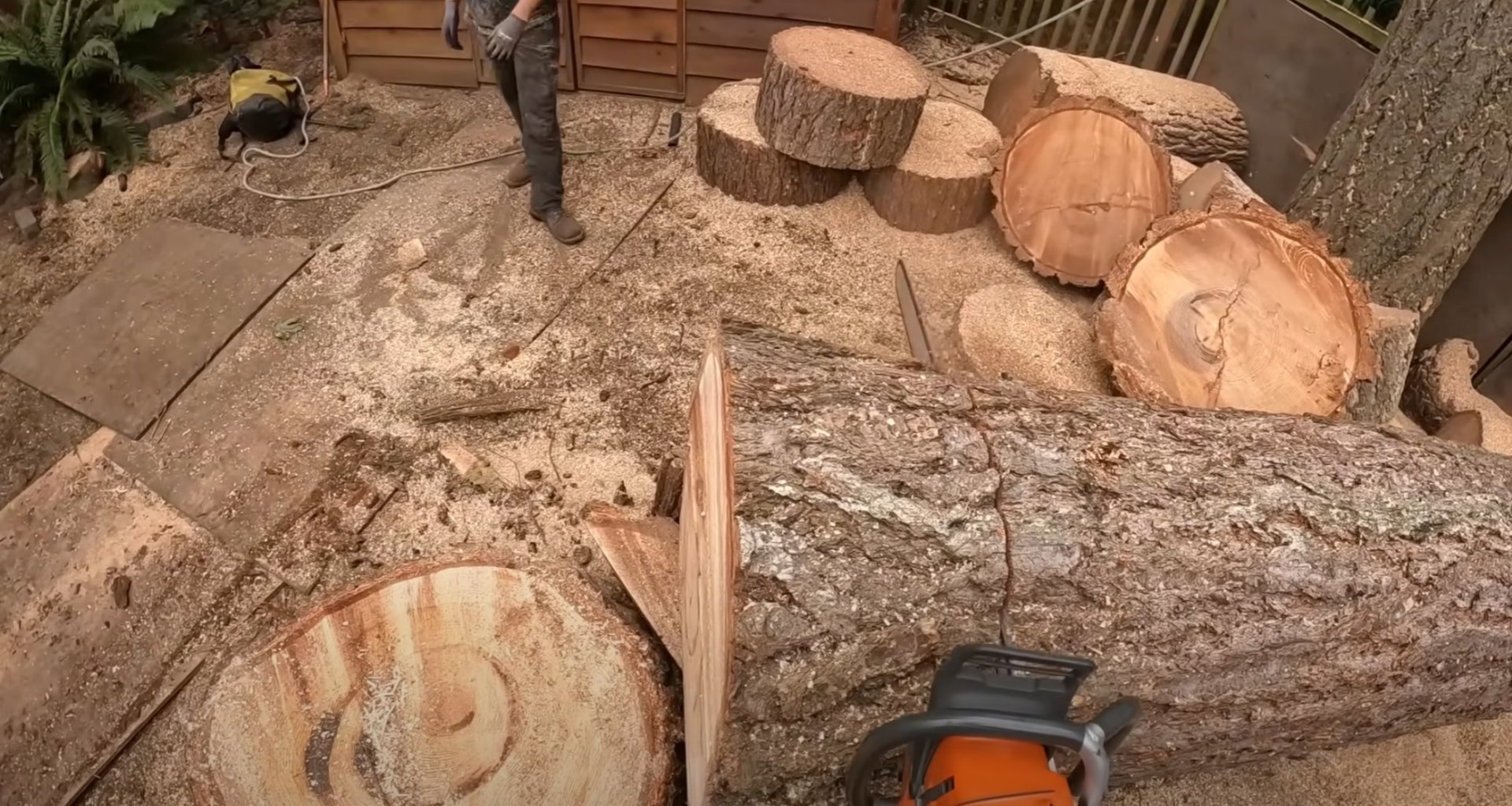 Professional tree cutting and wood processing showing attention to detail Tree cutting and wood processing services in Blaine, Minnesota