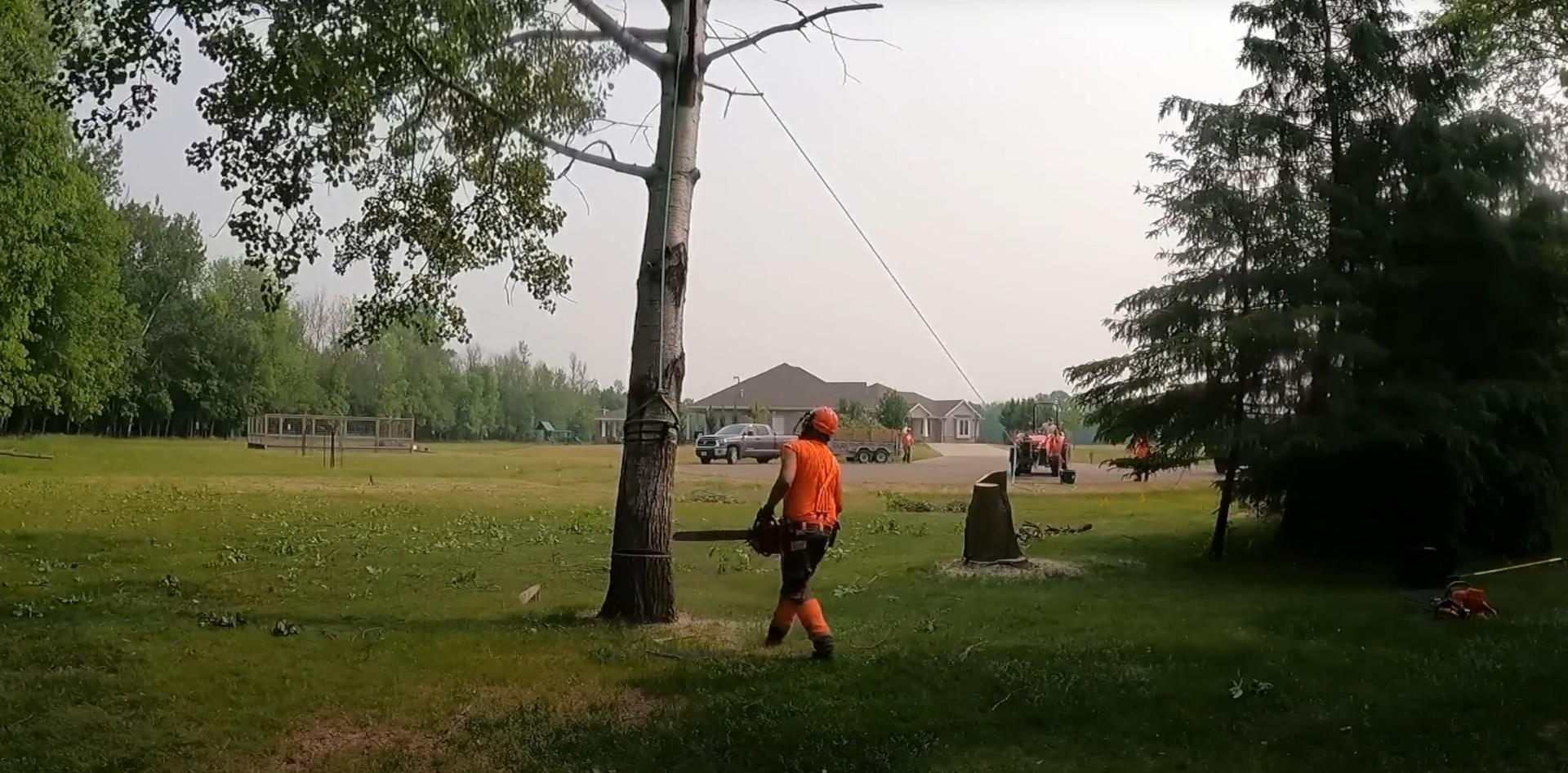 Professional tree removal and land clearing services Tree removal and stump grinding services in Blaine, Minnesota