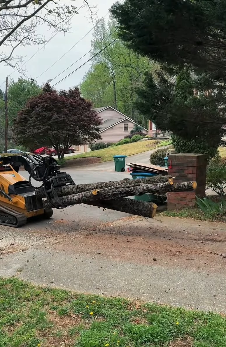 Professional tree removal and log transport Heavy machinery moving large tree logs during professional tree removal