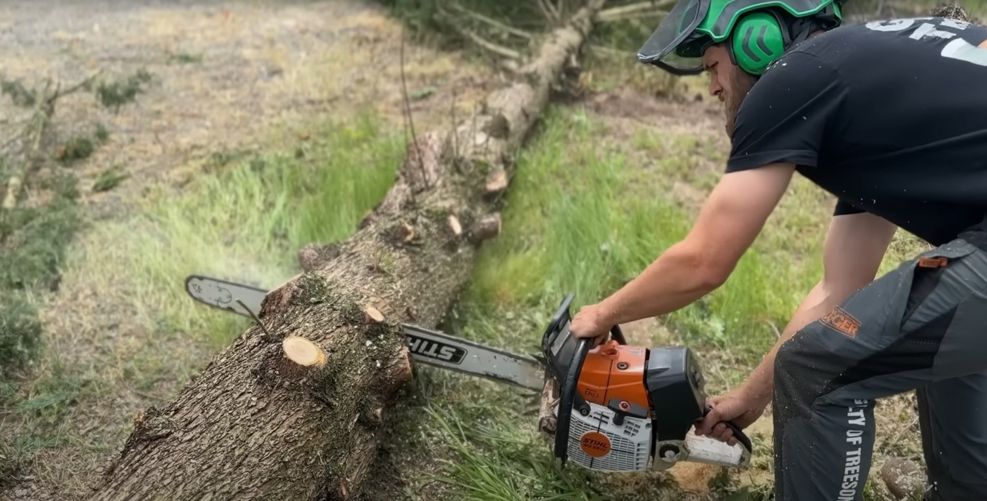 Expert tree cutting with professional equipment Professional arborist using chainsaw for precision tree cutting in residential area