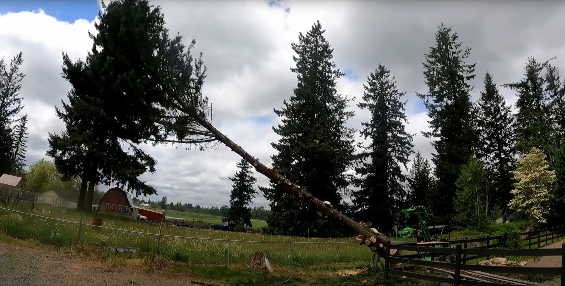 Heavy equipment used for safe tree removal in residential areas Tree removal equipment and professional crew in Blaine, Minnesota