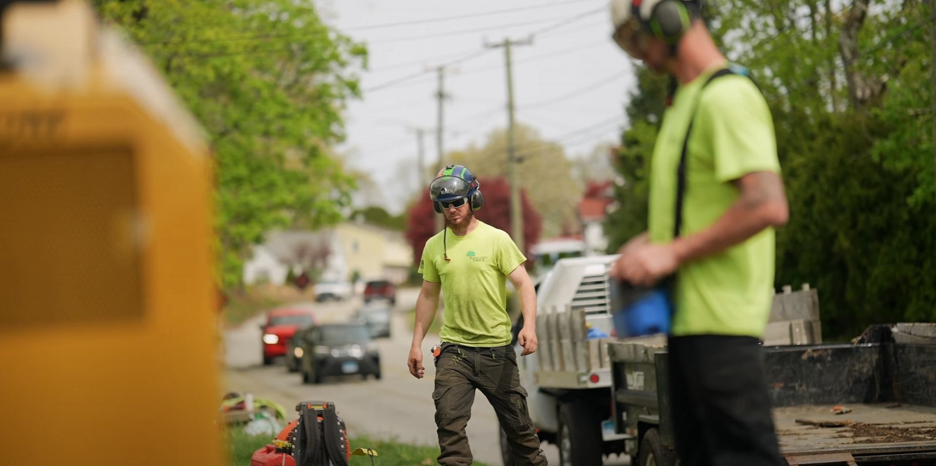 Expert tree service professionals using specialized equipment Professional tree service team working on tree removal in Blaine, MN