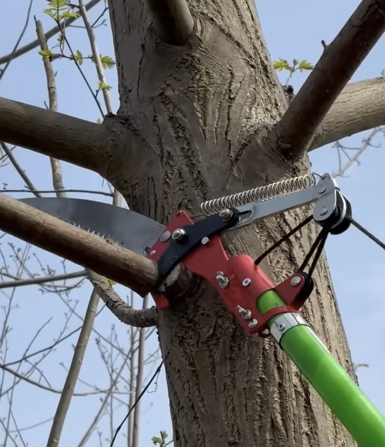 Specialized pole saw equipment for precision tree trimming Professional tree trimming equipment and techniques in Blaine, MN